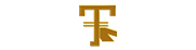 Logo - xtemcoin