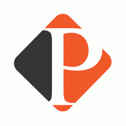 лого - Practical Brands